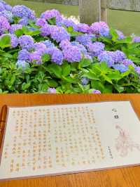來普陀山玩吧，看看佛山水