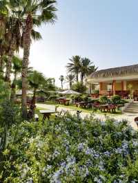Tunisia's Top Stay: Tui Magic Life Africana 🌟🏨🇹🇳