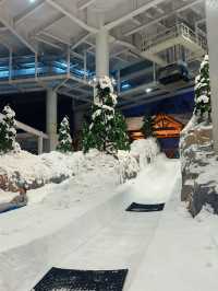 上海新地標-臨港耀雪冰雪世界