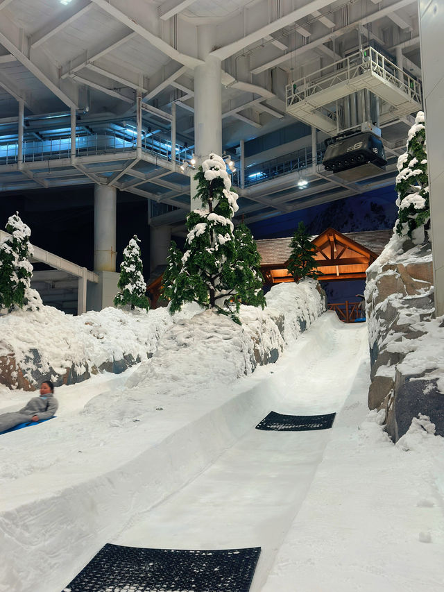 上海新地標-臨港耀雪冰雪世界
