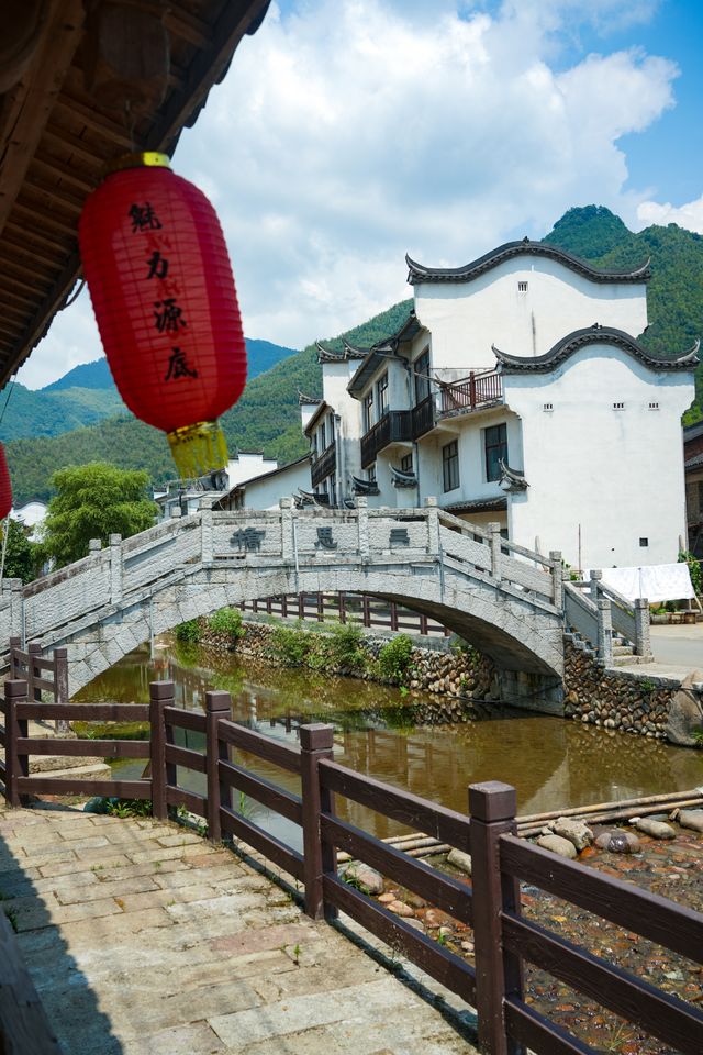 藏在浙南古村里的大魚海棠真的很怕它火