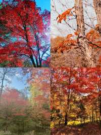 中秋吉林蛟河紅葉谷3天2夜遊攻略