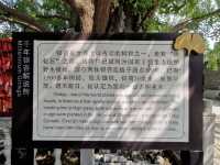 報恩禪寺