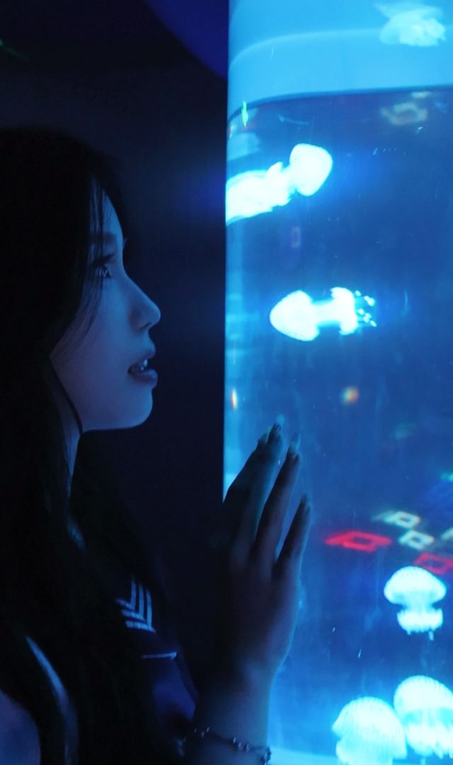 深圳海洋館拍照指南📸