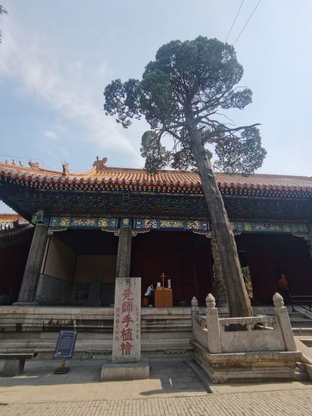 2024自駕遊蘇魯豫(六)：古聖先賢祠——曲阜孔廟。