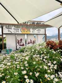 聽勸！來麗江看日照金山直接來這裡就行了！！。