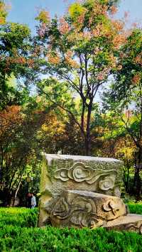 聽講西安豐慶公園錦簇芳菲，打卡過公園"山水綠叢中"才知曉。