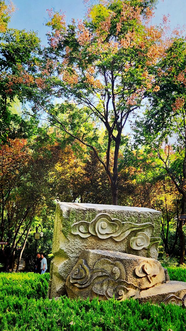 聽講西安豐慶公園錦簇芳菲，打卡過公園"山水綠叢中"才知曉。