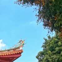 千年佛光照耀泉州：探索開元寺的歷史與傳說。