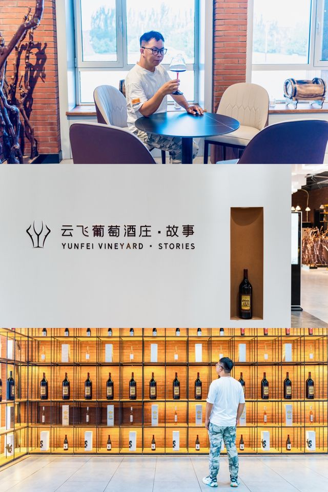 品嚐烏海，就從認識烏海葡萄開始。