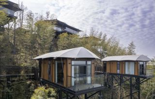 Here, I live in the bamboo forest courtyard of my dreams.