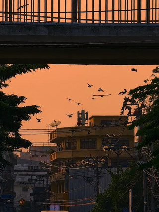 Must-see in Bangkok - The atmosphere of life｜Brilliant Market