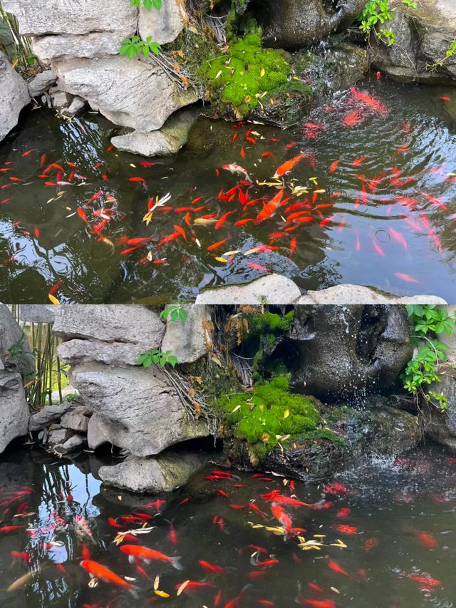 臨沂‖王羲之故居。