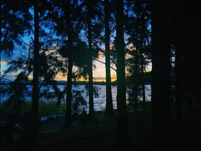 湖光山色伯利·格里芬湖｜探索澳洲首都的自然美景。