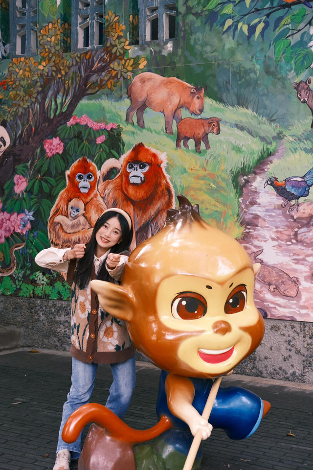 來成都玩一定不能錯過動物園。