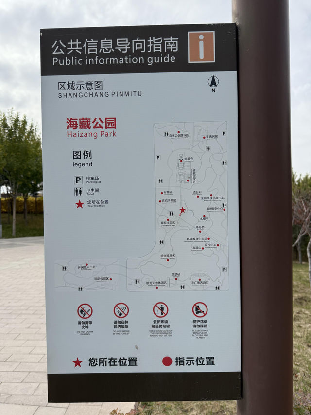 甘肅武威海藏寺——寶藏小眾國保寺院。
