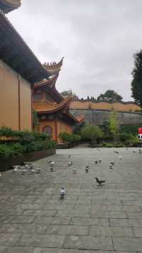 也許你也可以在寧波的「小天壇」（正陽禪寺）找到平靜。