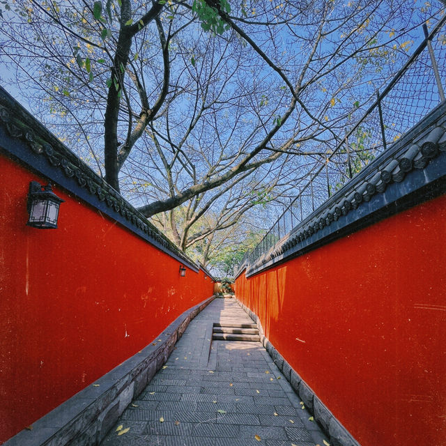 半山崖線｜重慶红墙和“開往春天的列車”就在這兒，很好出片