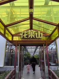 南宮五洲植物園——秋季親子遊好去處。