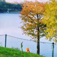 廈門植物園攻略！運動+吸氧+賞景~