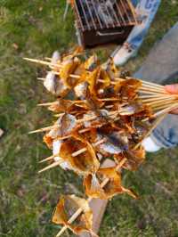 湖州旅行—來 lakeside 空野療癒營地！