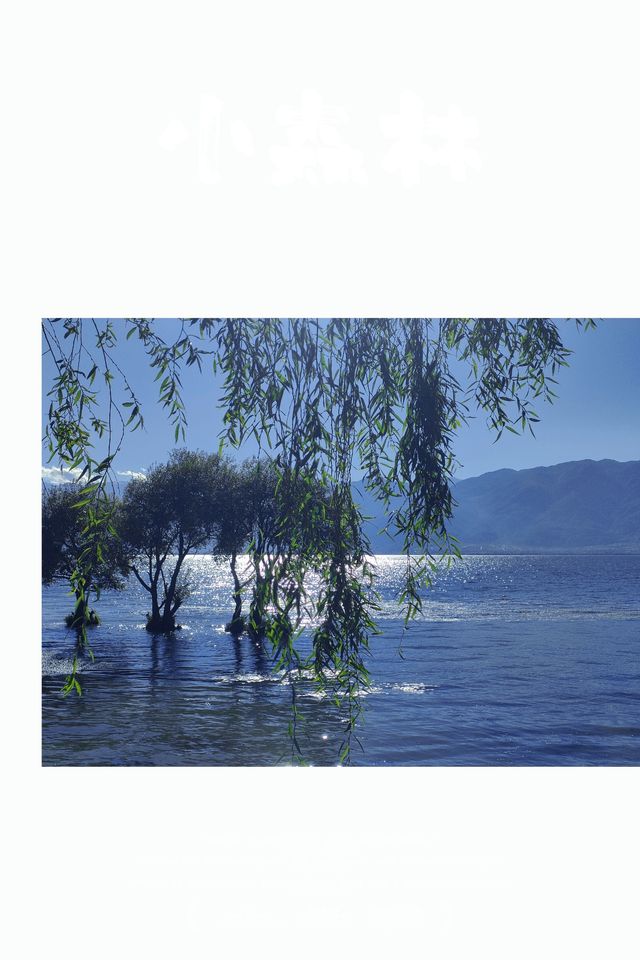 蒼山洱海，陽光的味道。
