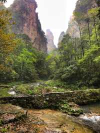 Fascinating world of Zhangjiajie