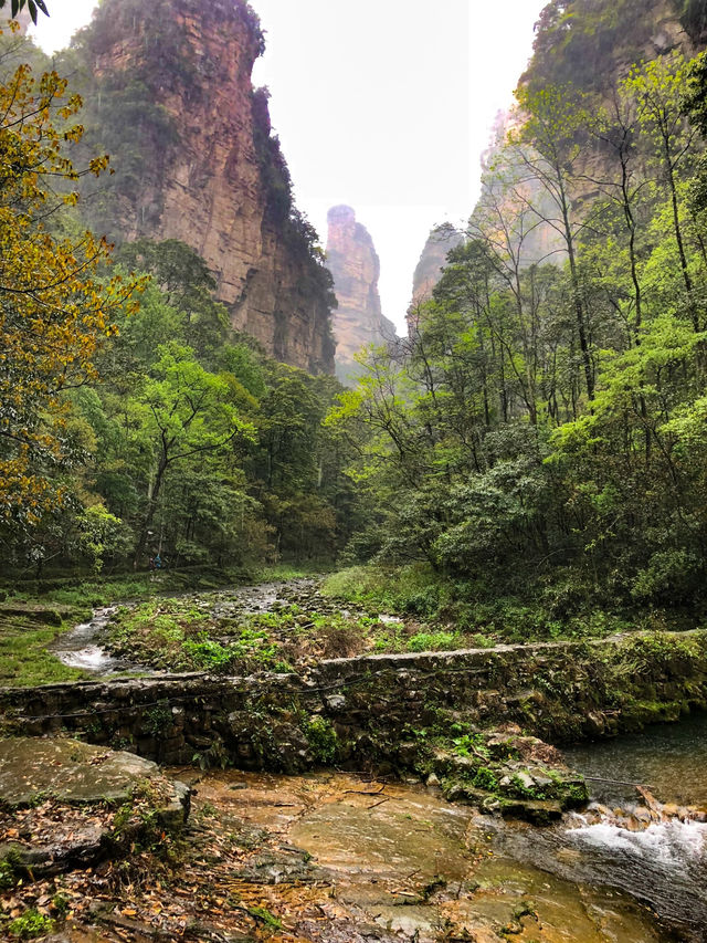 Fascinating world of Zhangjiajie