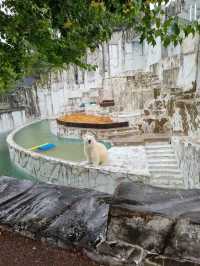 Visiting Nagoya's Higashiyama Zoo and Botanical Gardens: A Cautionary Tale