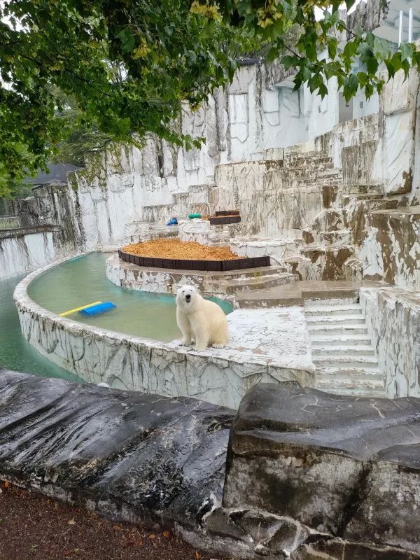Visiting Nagoya's Higashiyama Zoo and Botanical Gardens: A Cautionary Tale