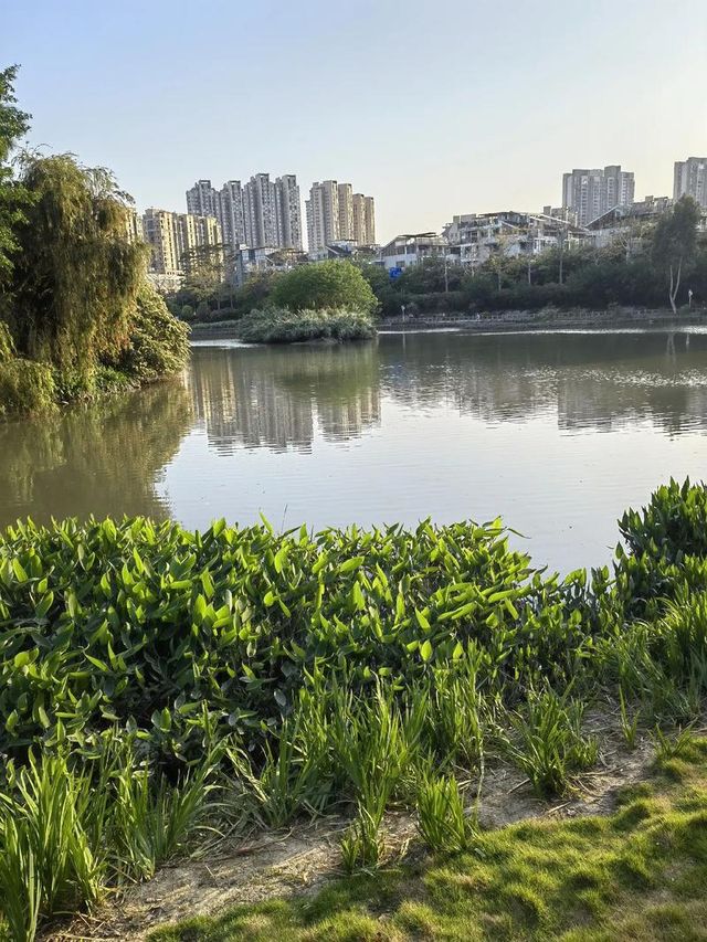 徐州金山公園。