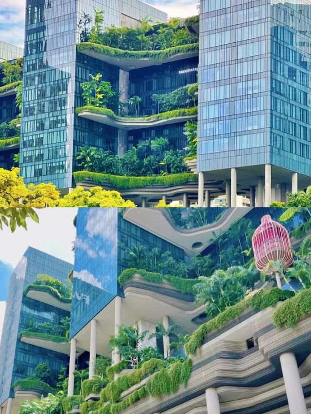 在新加坡！剛退房！這家酒店好住到懷疑人生。