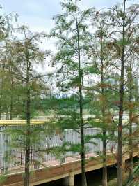 在廣州，離地鐵200米的大草坪沿湖碧道！