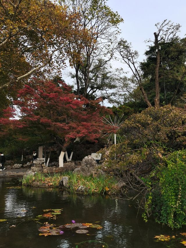 南京賞秋2日遊 - 2024-11-26/27。