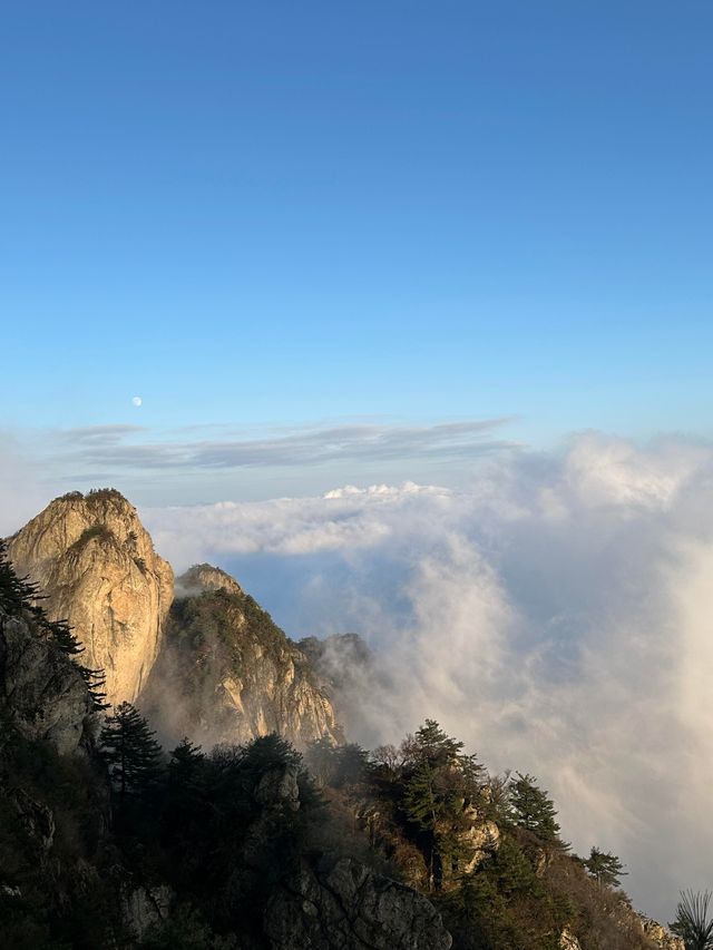商洛老君山|四季景色各異。