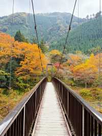 東京｜青梅御岳溪谷 關東紅葉秘境。