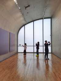 龍美術館建築的獨特性，與「繪畫」作品相得益彰。