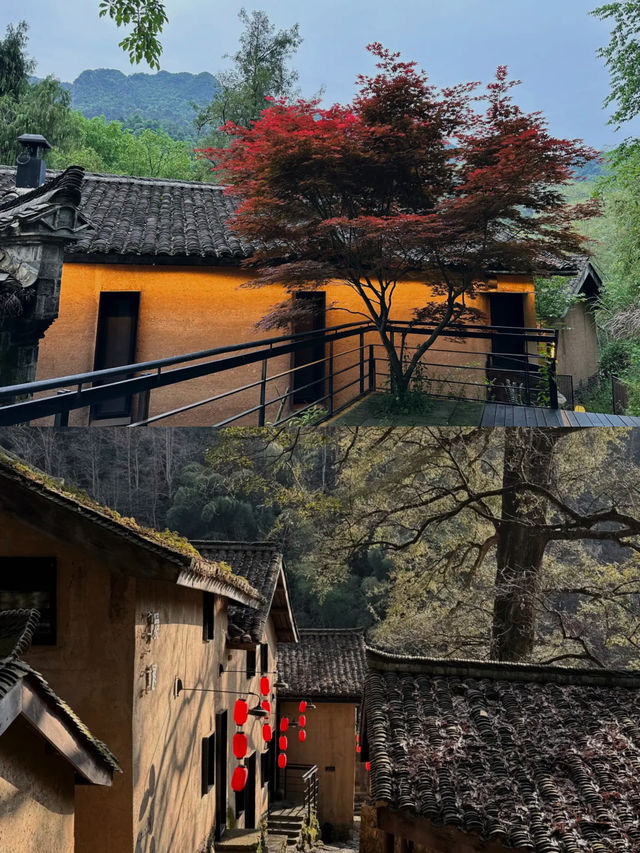 浦江古村 慢時光裡的詩意棲居