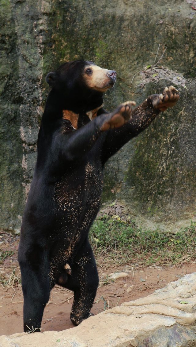 杭州野生動物園