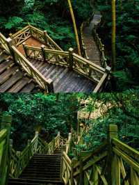 行山不一定要辛苦嗎?|良鳳江森林公園