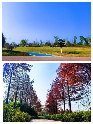 Enjoy Nature in Tongliang
