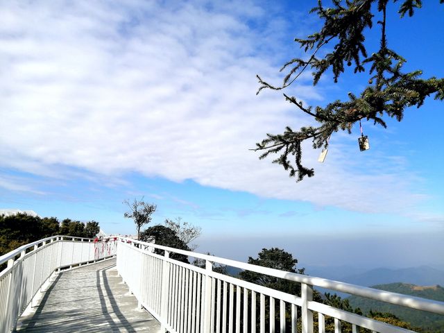 有點意外的象窩山生態園