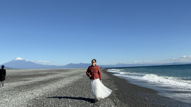 黑沙灘上遙望富士山