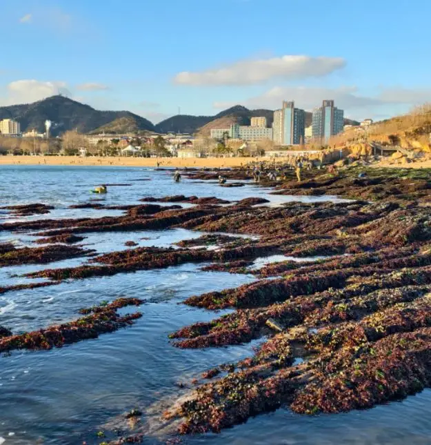 Tidal Bore Chasing in Dalian: A Tidal Bore Chasing Paradise with Flat Beaches and Shallow Waters