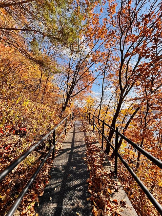 吉林延邊|紅石峰國家森林公園•冬日落葉凋零的美