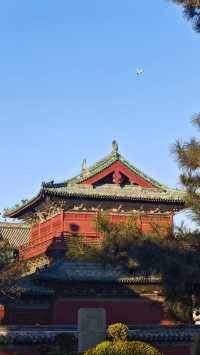 石家莊正定隆興寺 | 千年古剎的心靈之旅