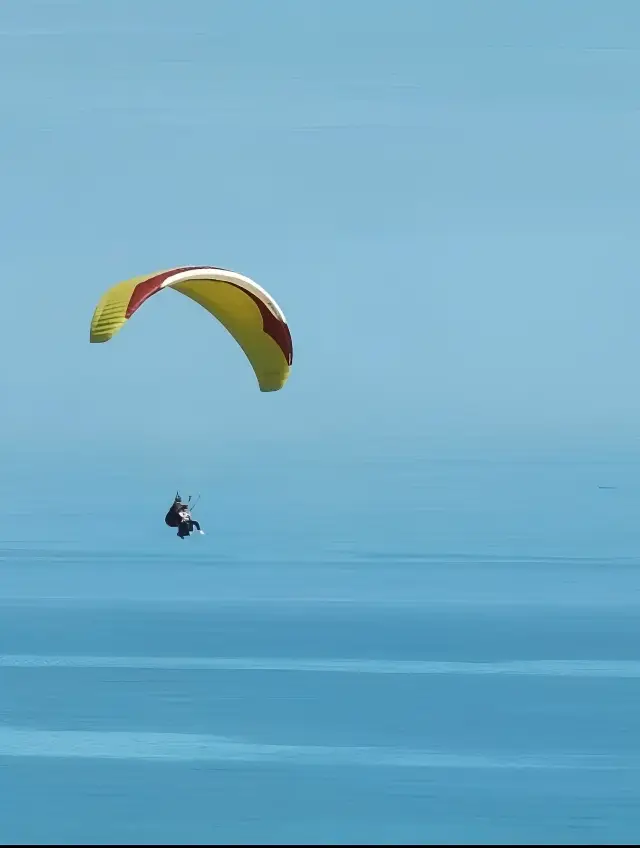 双月湾2日1泊親子旅行ガイド