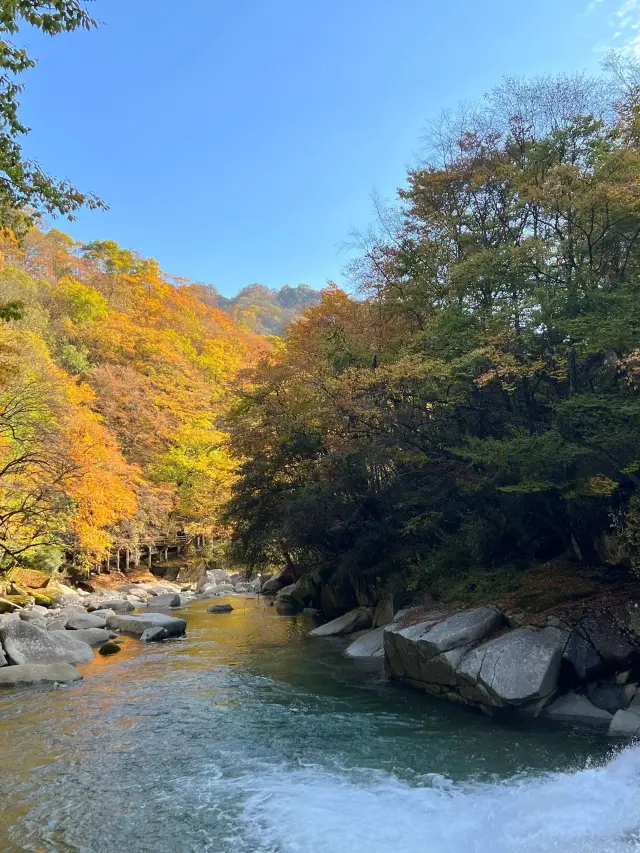 8일간의 난충-친링-바중 온천 여행이 너무 좋았어요