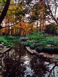 上海的莫奈花園