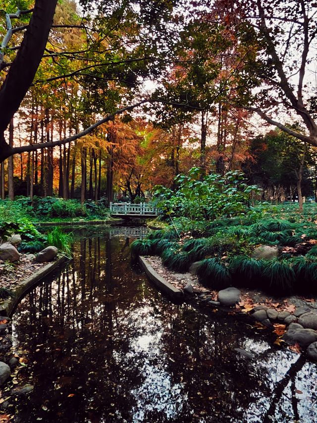 上海的莫奈花園